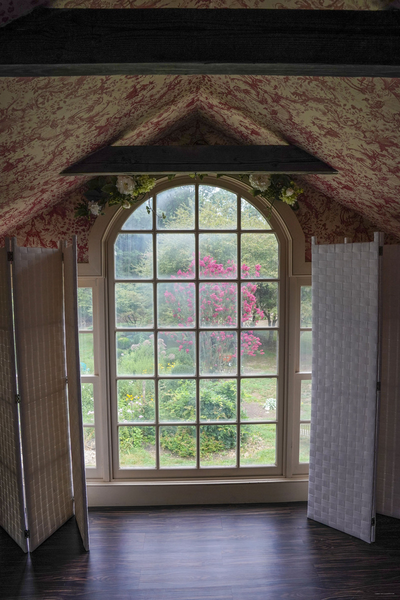 Фото Wild Wisteria