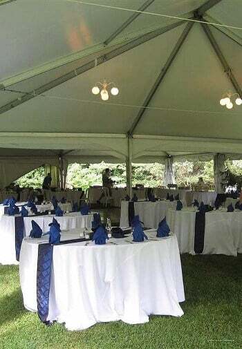 Фото Wild Wisteria