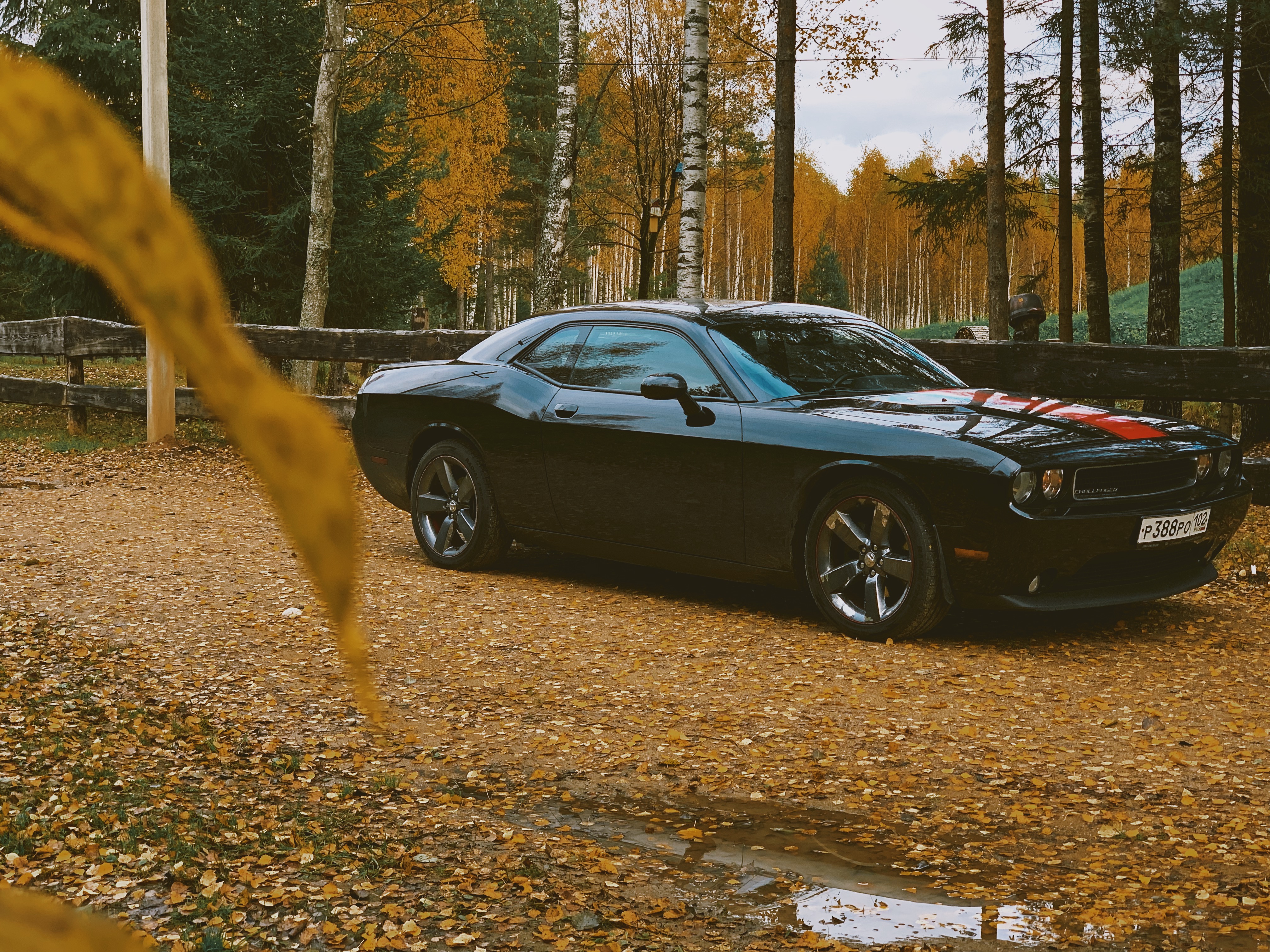 Фото Заповедник впечатлений