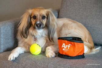 Фото Aloft Louisville Downtown