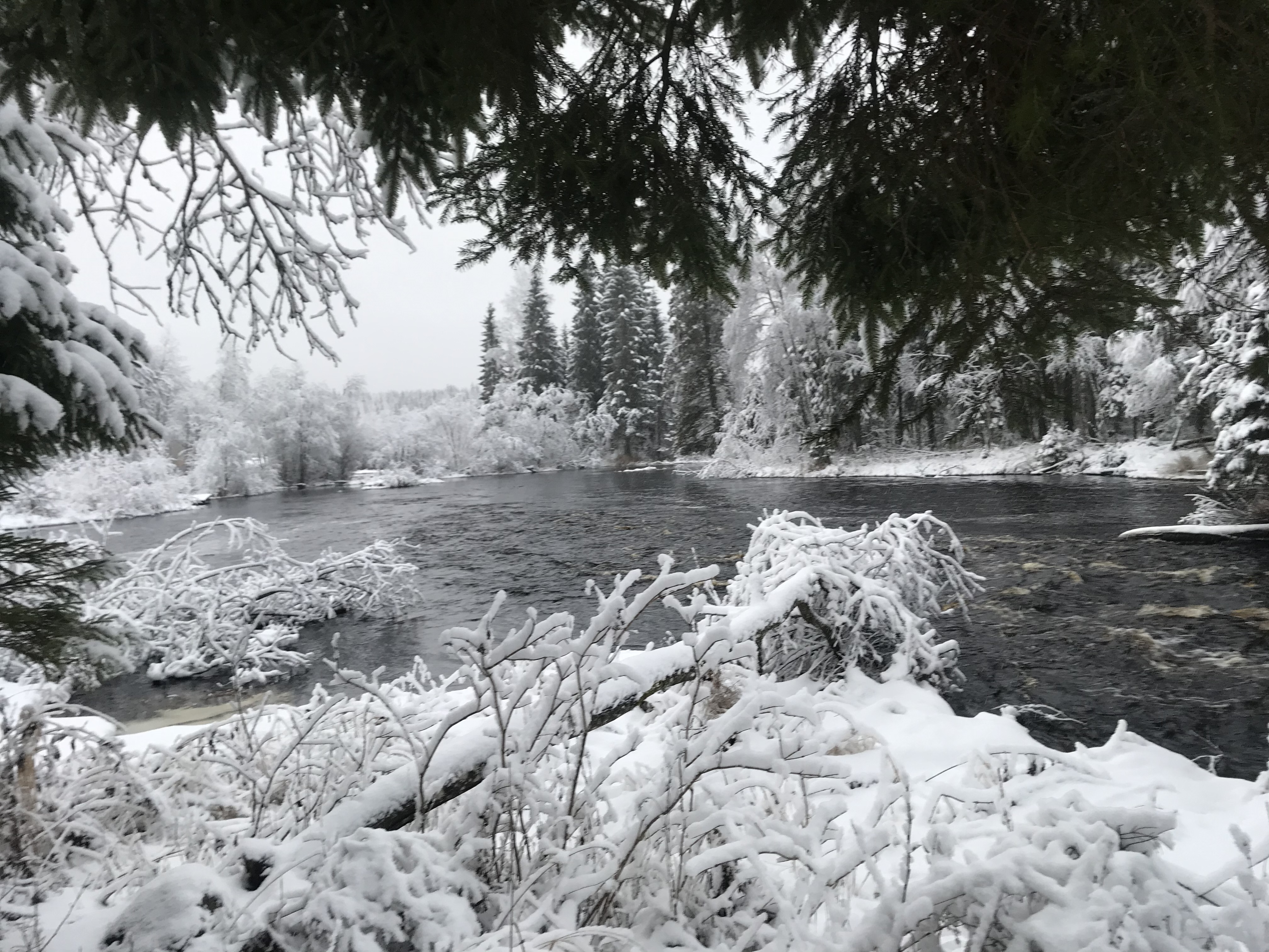 Фото Дом и река
