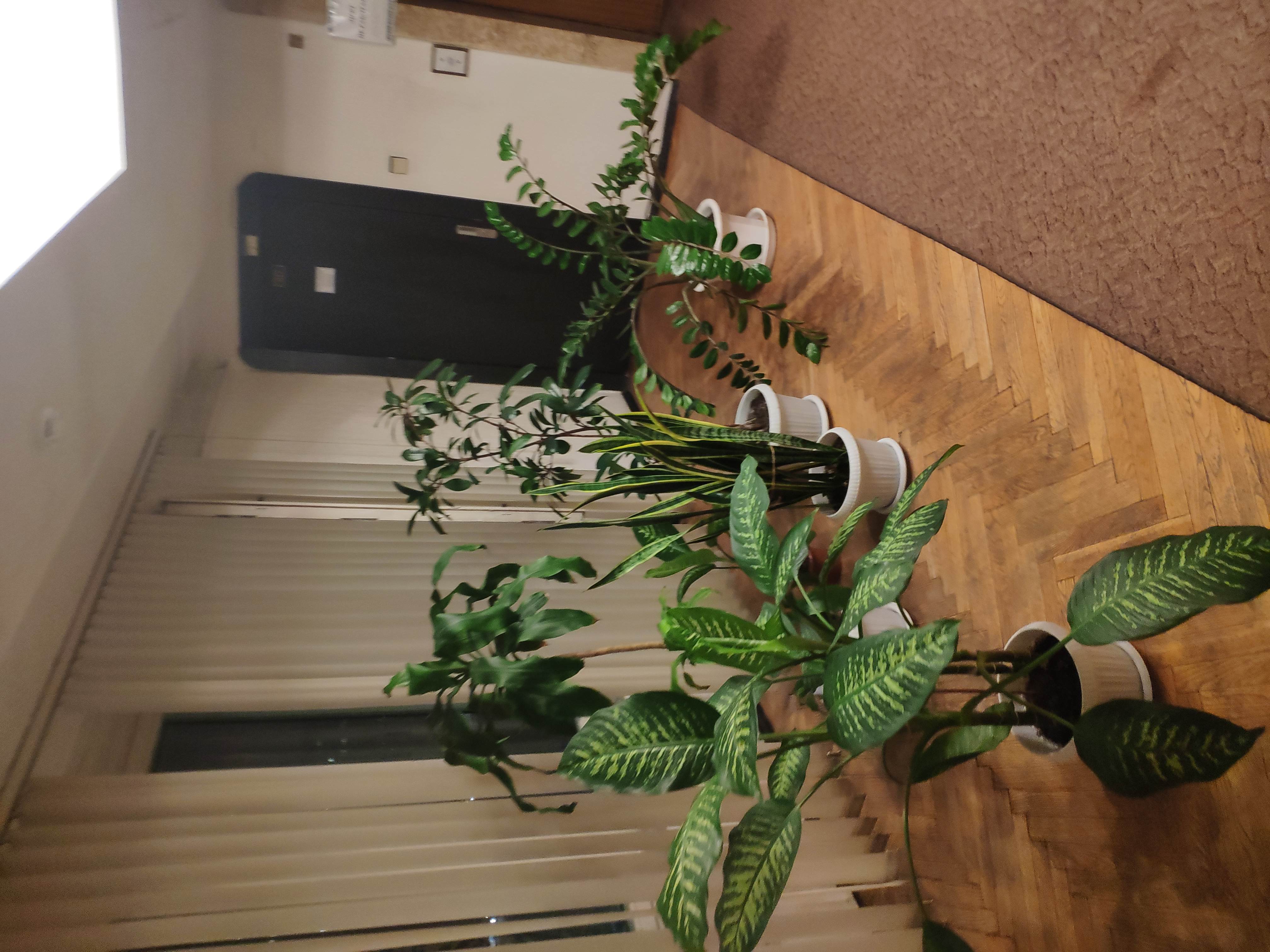 Фото Паллада РАН