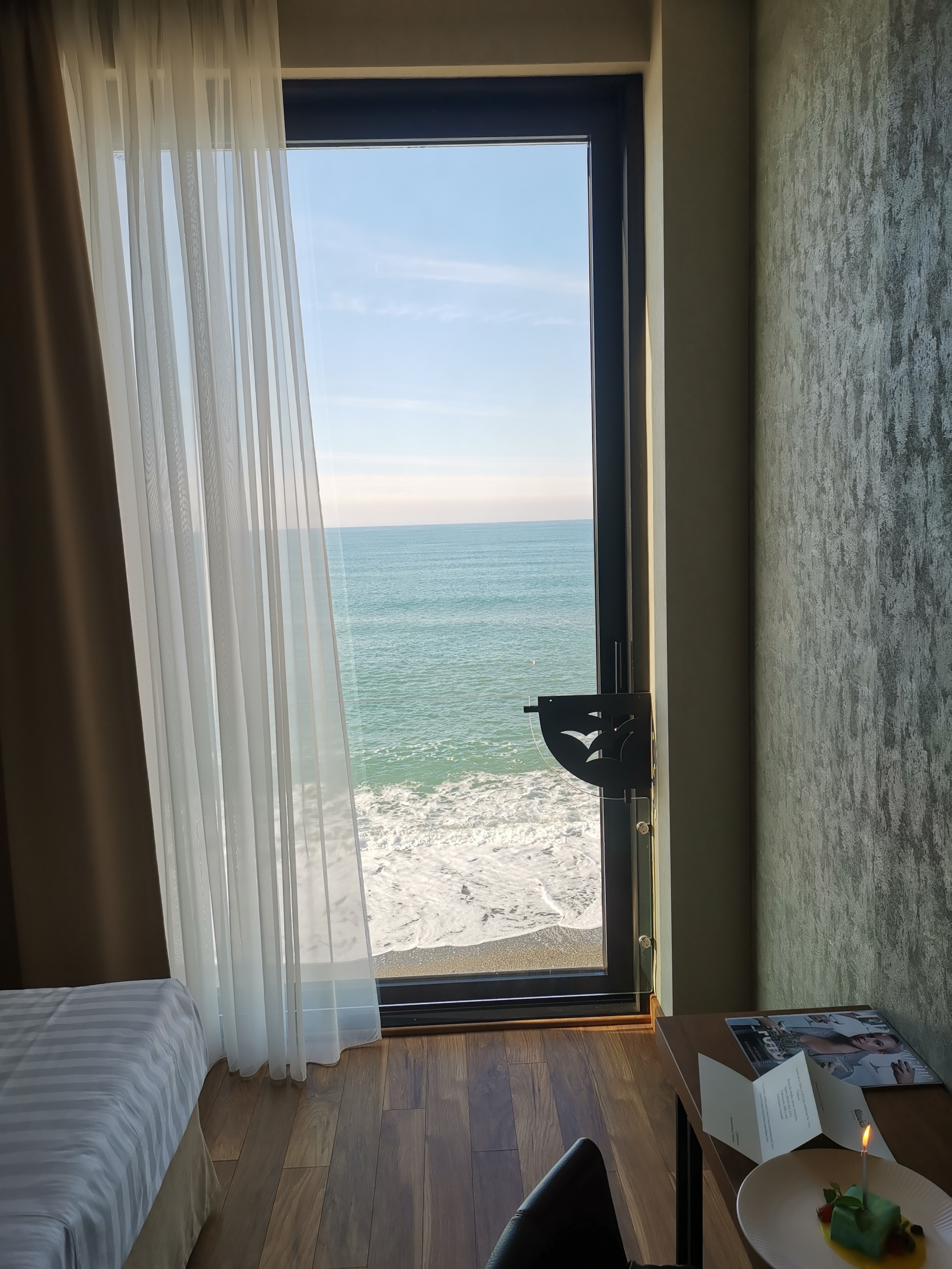 Фото Полёт Чайки