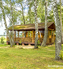 Фото Белая цапля