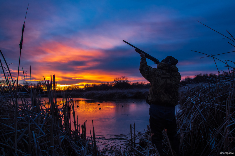 Фото Заостровье