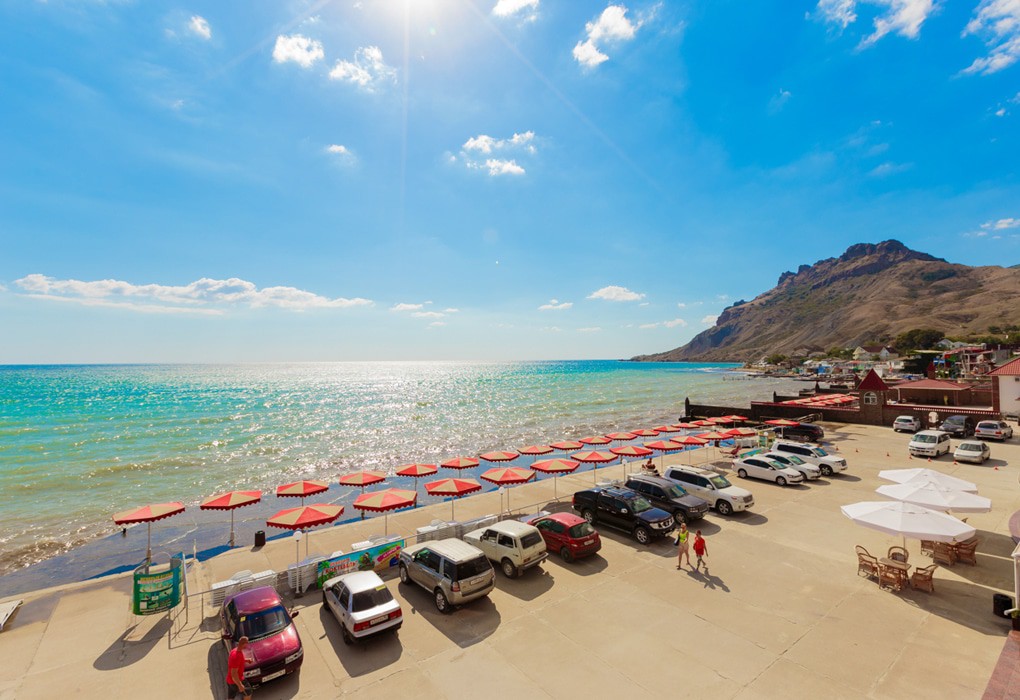 Фото Белый Грифон