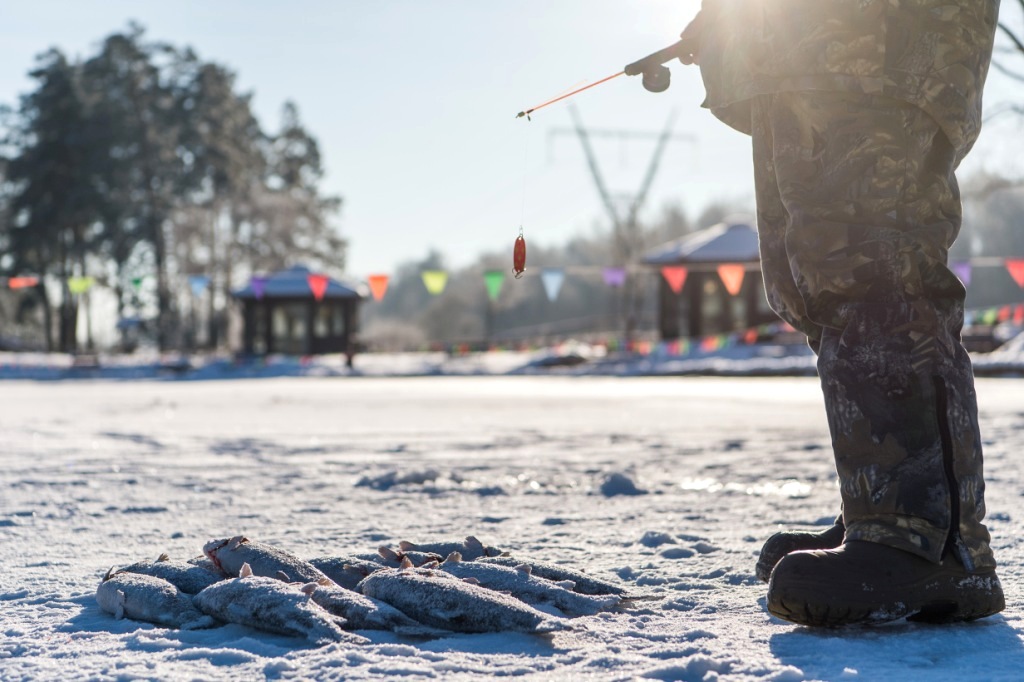 Фото ЗаВидное
