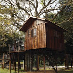 Фото Bourbon Curitiba Hotel e Suítes