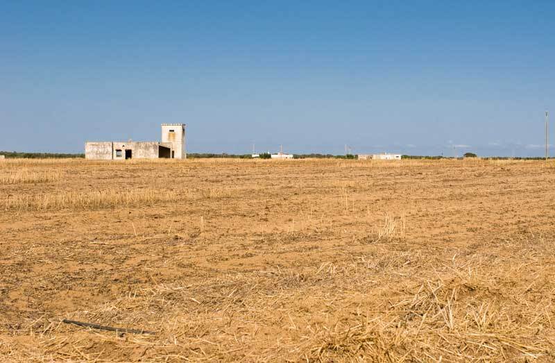 Фото Hotel Masseria Fabrizio