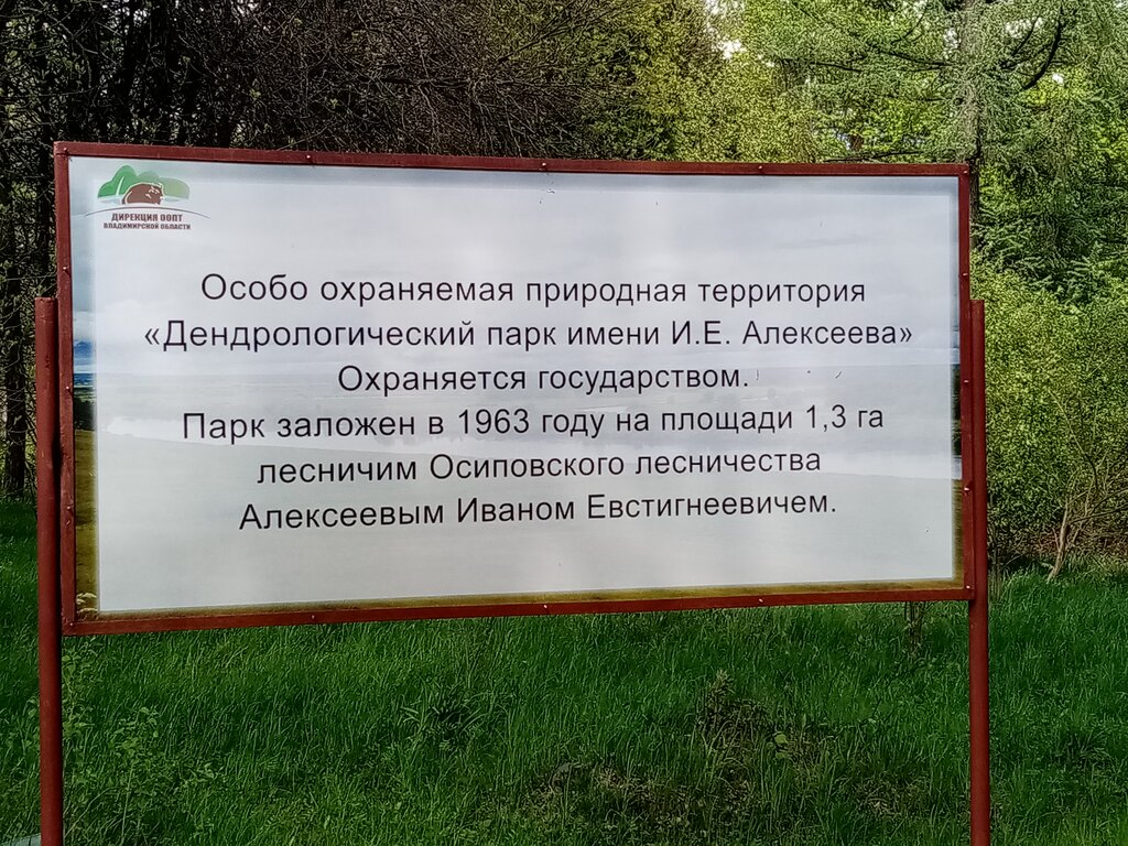 Park Государственный дендрологический парк регионального значения имени И.Е. Алексеева, Vladimir Oblast, photo