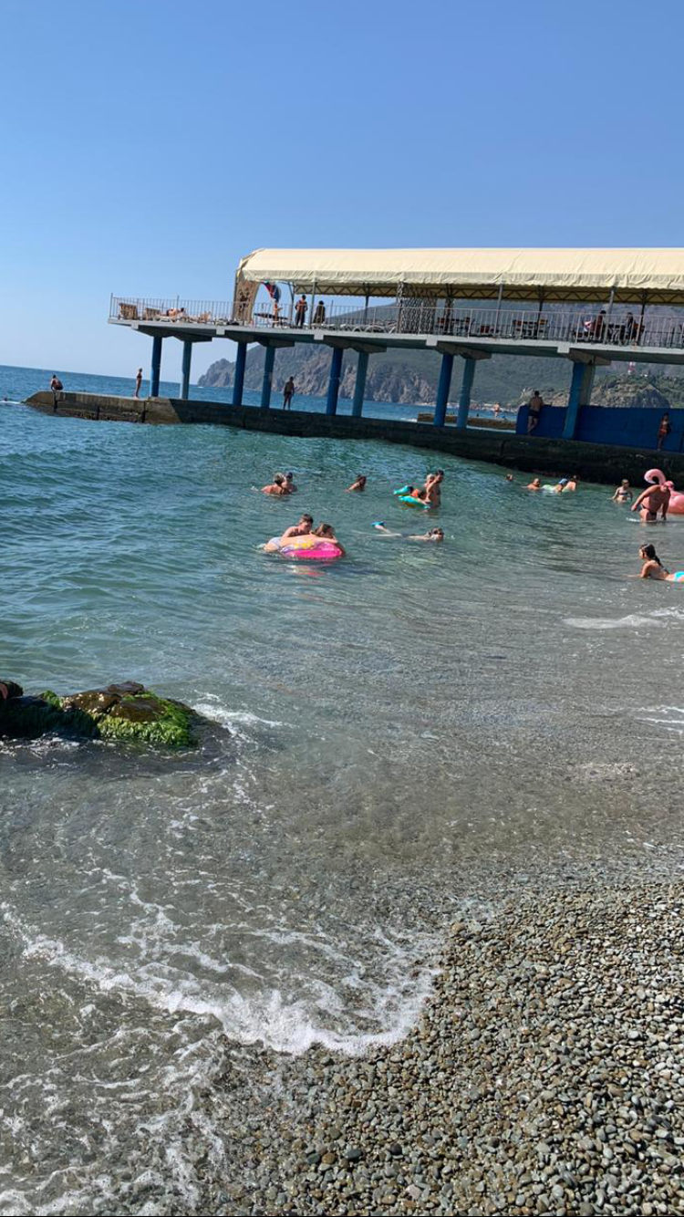 Фото Медуза