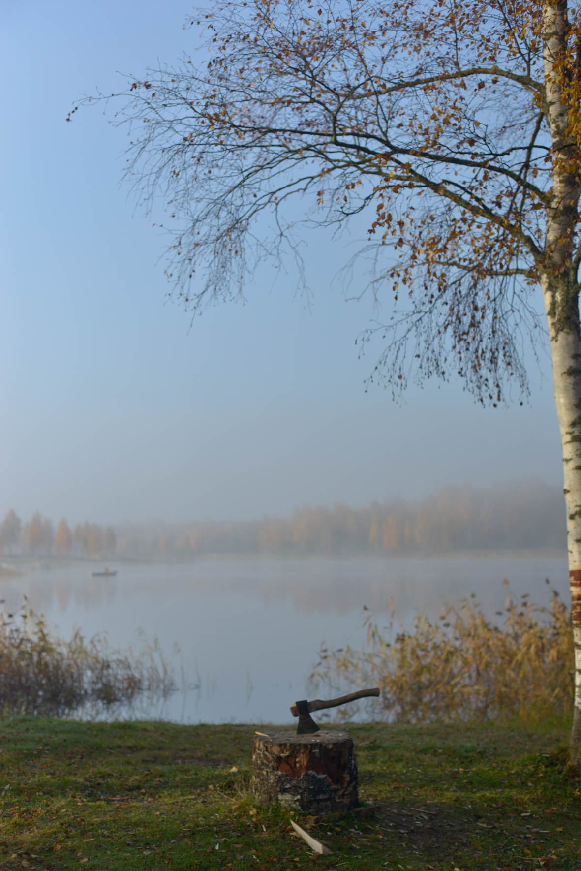 Фото Селигер для вас