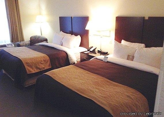 Фото Comfort Inn & Suites Ft. Jackson Maingate