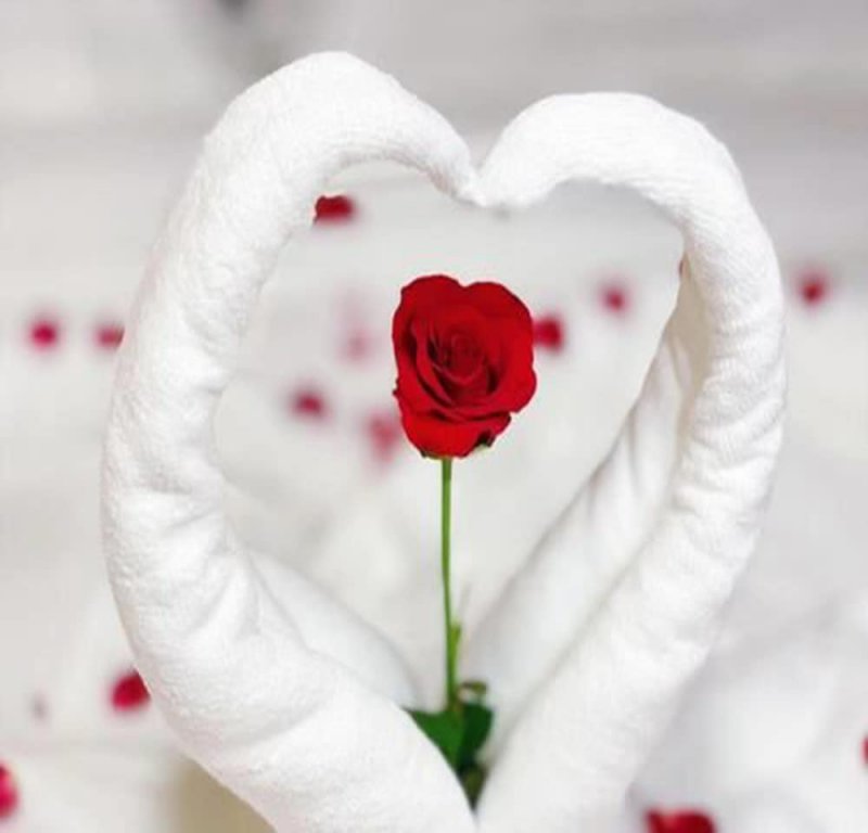 Фото C & Y Hotel