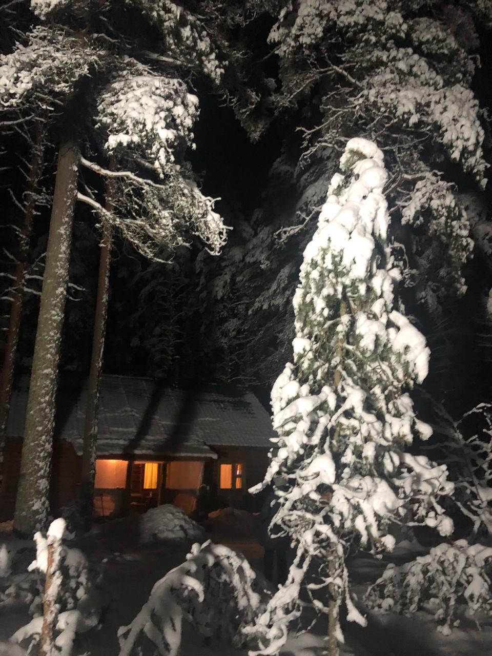 Фото Курмойла