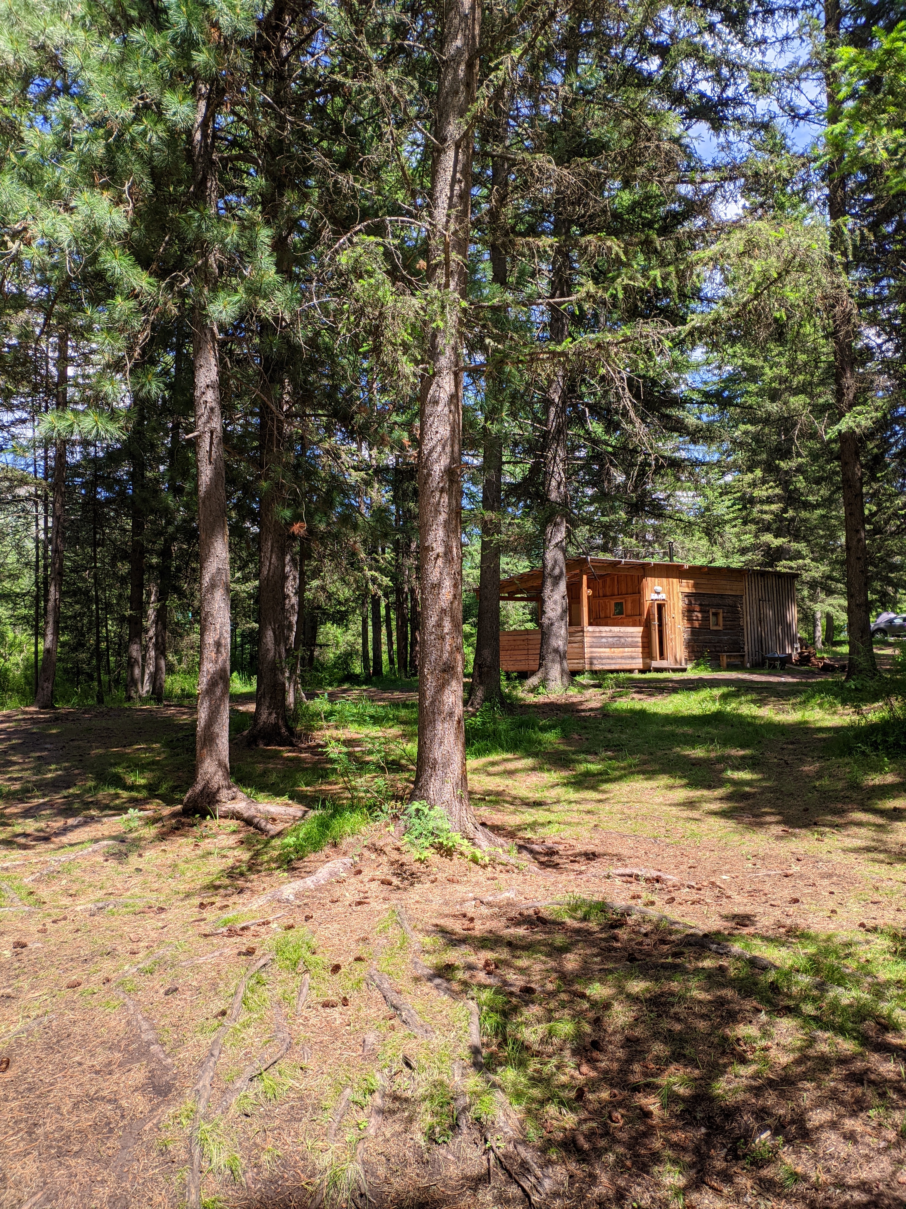 Фото Зелёный колобок