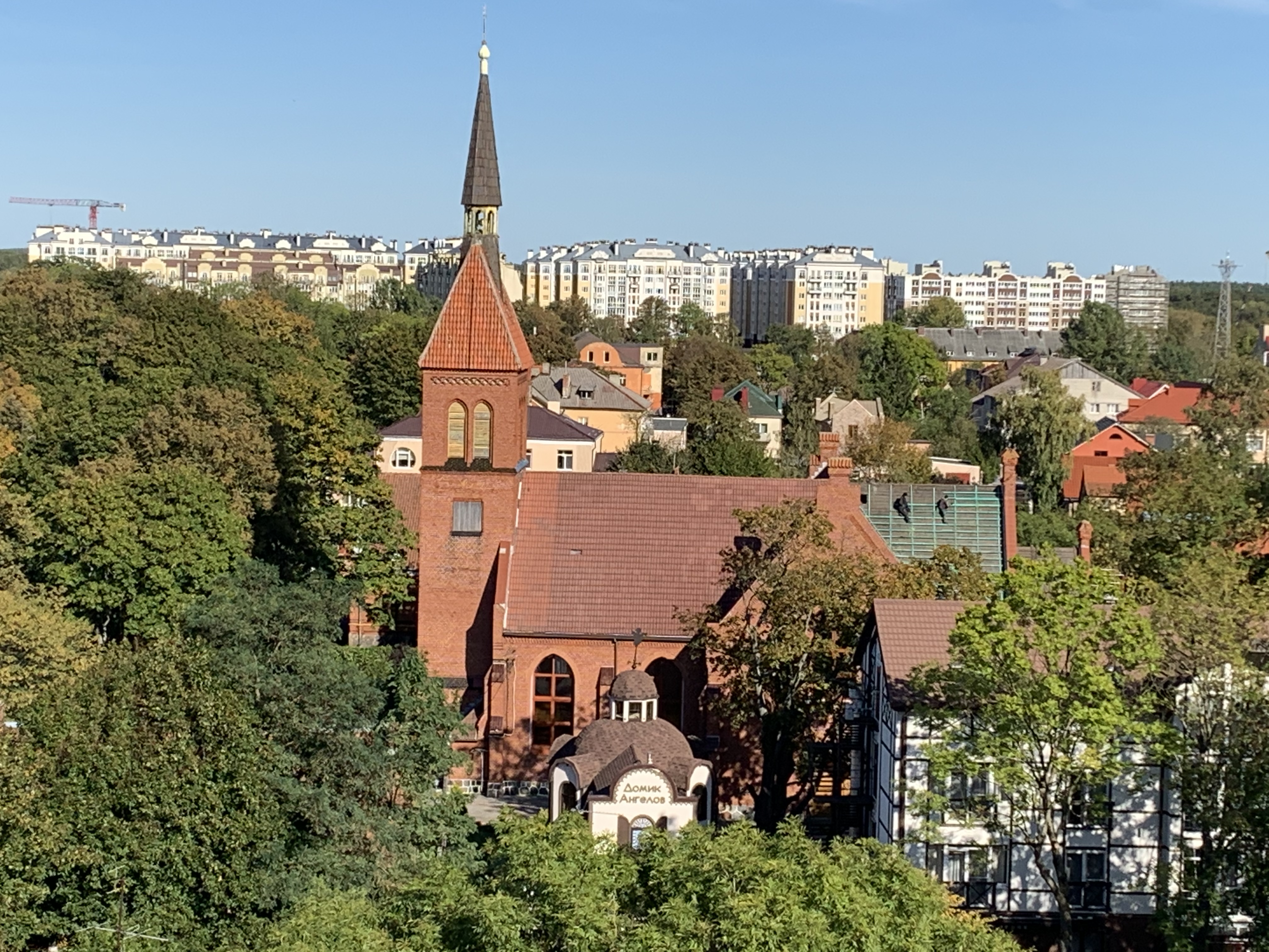 Фото Кошкин дом