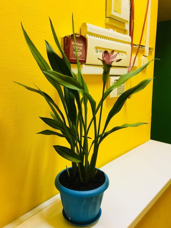 Фото Travel inn Новослободская