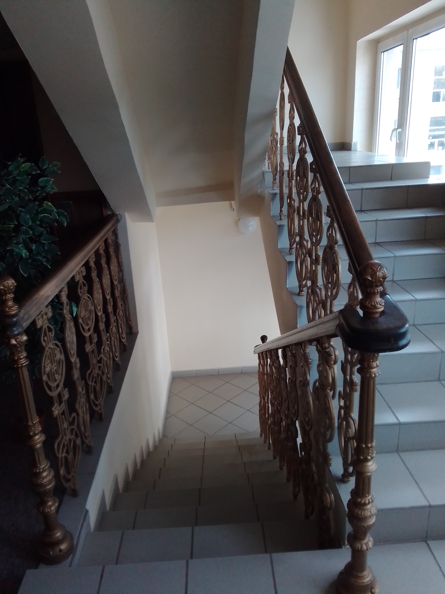 Фото Лебедь