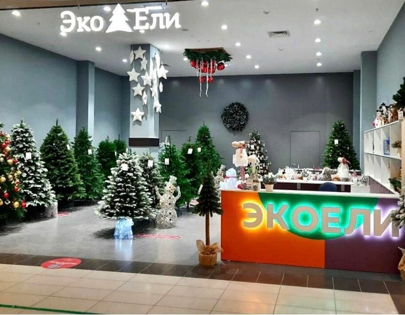 Christmas trees and christmas decorations Eco-eli, Rostov‑na‑Donu, photo