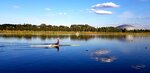 Sparta rowing club (Krylatskaya Street, 2с2), sports base