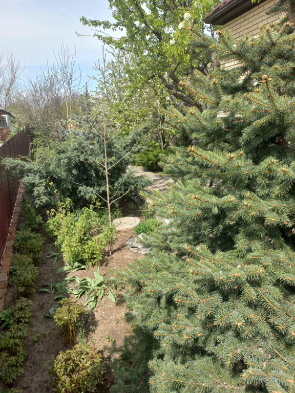 Фото Гостевой дом Юг