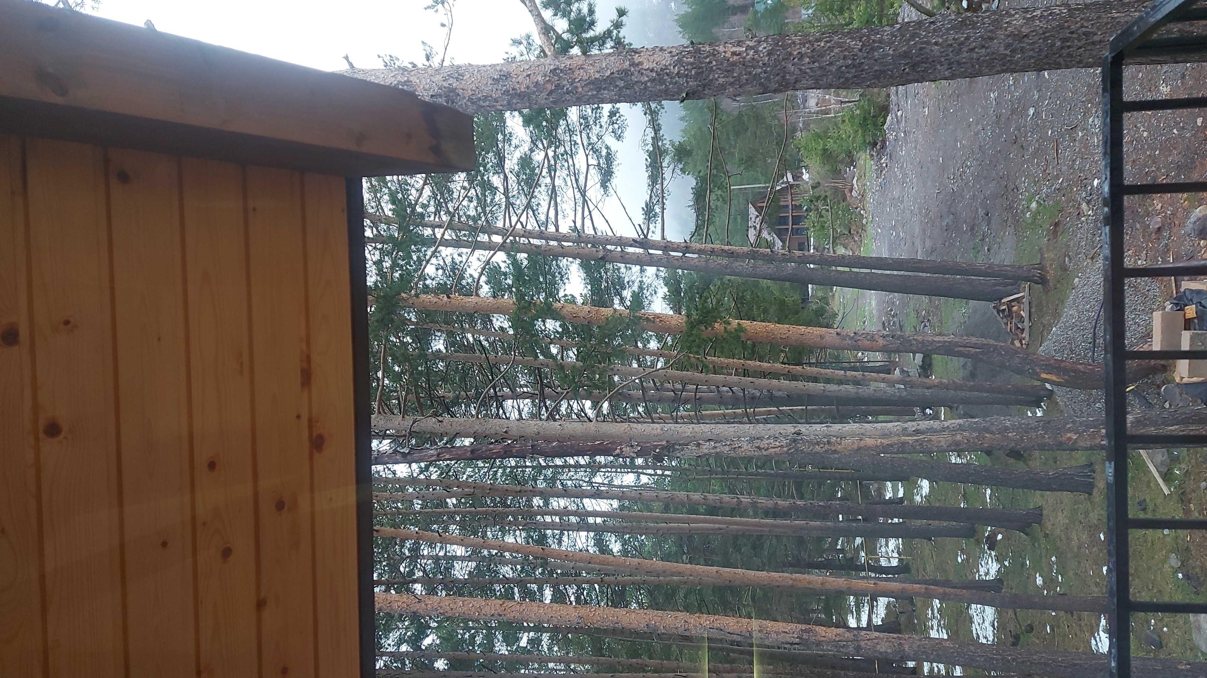 Фото Времена года Чегет