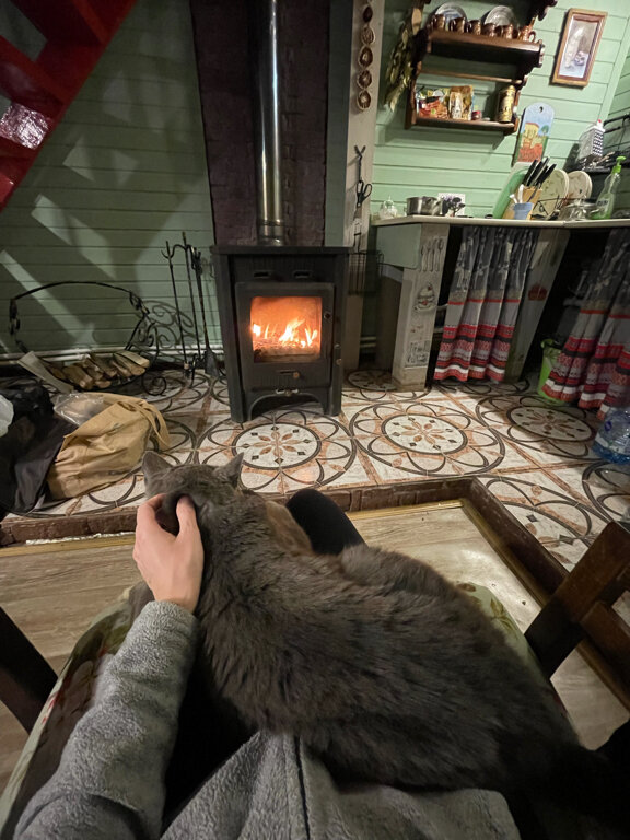 Фото Лосиный тупичок