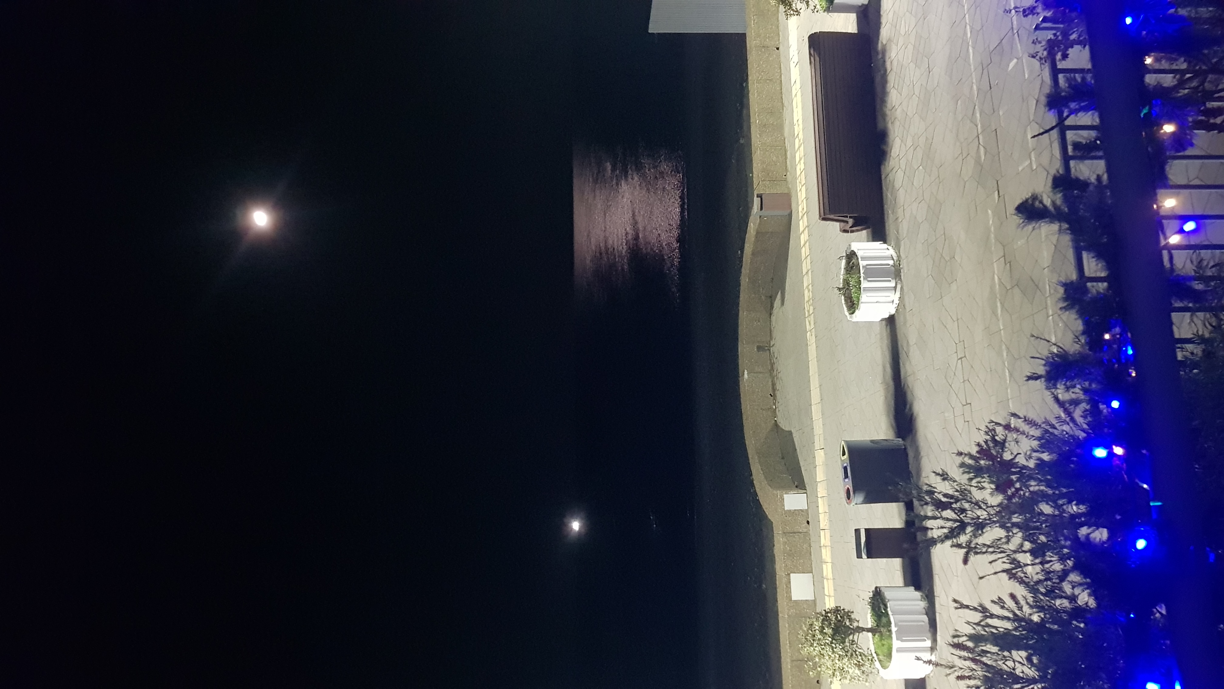 Фото Золотой огонек