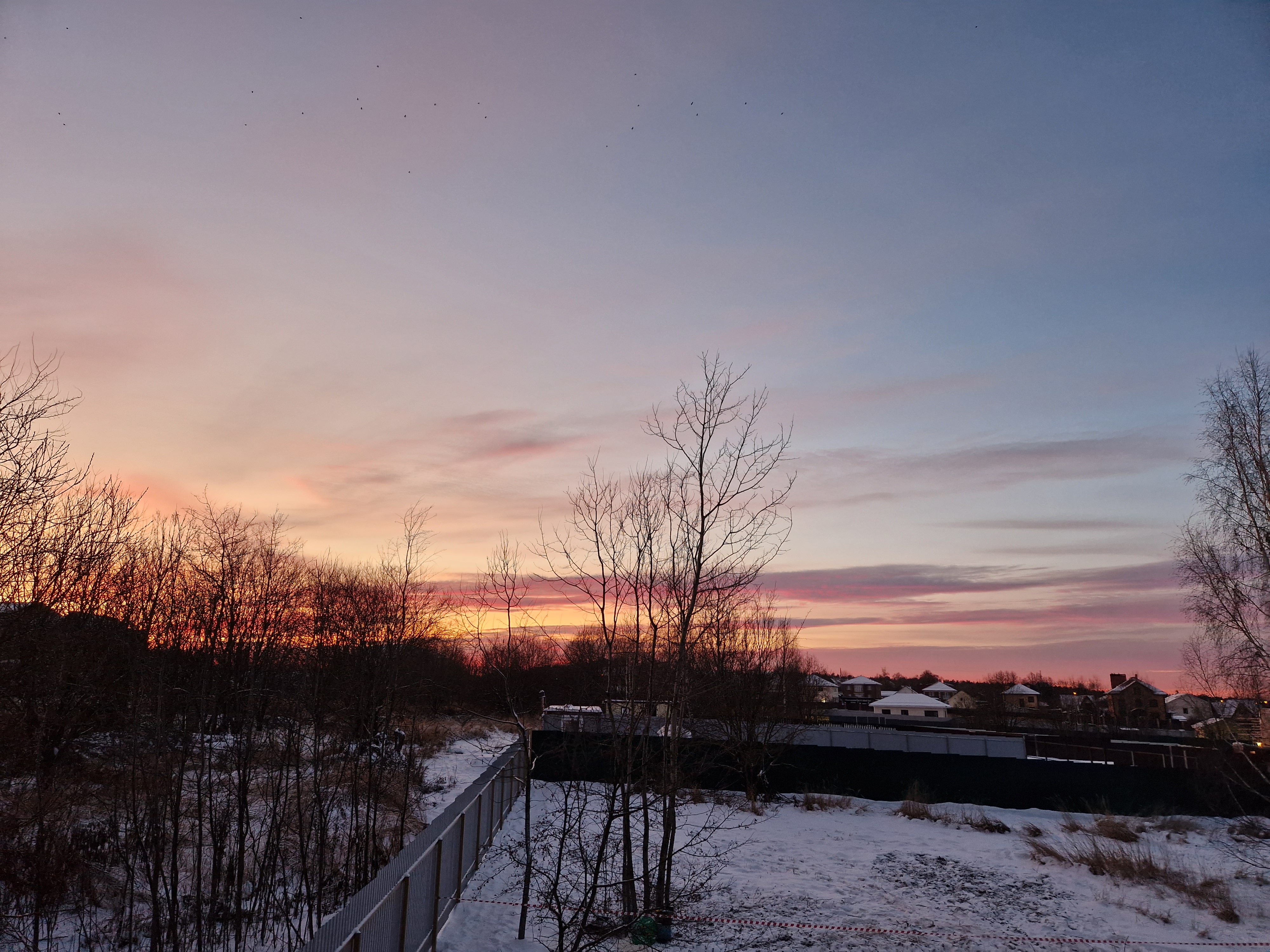 Фото Светлая роща