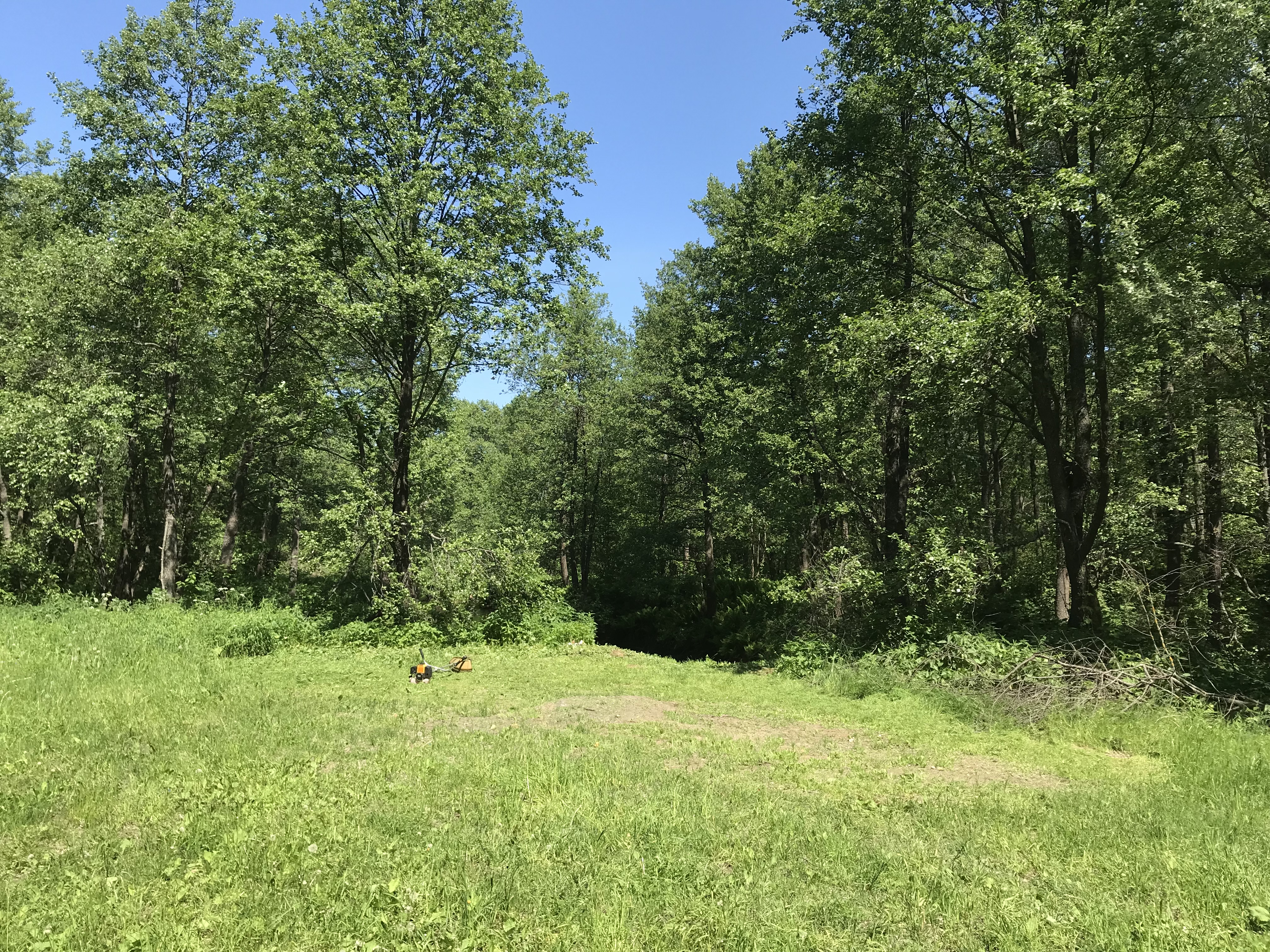 Фото На Ватоме