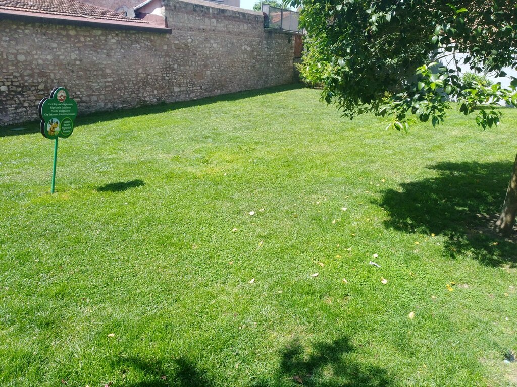 الغابات Seyit Omer Emreni Church Green Areas ، اسطنبول، صورة