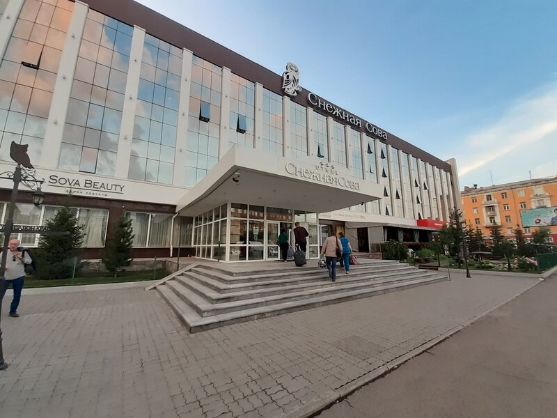 Снежная сова — фото 40