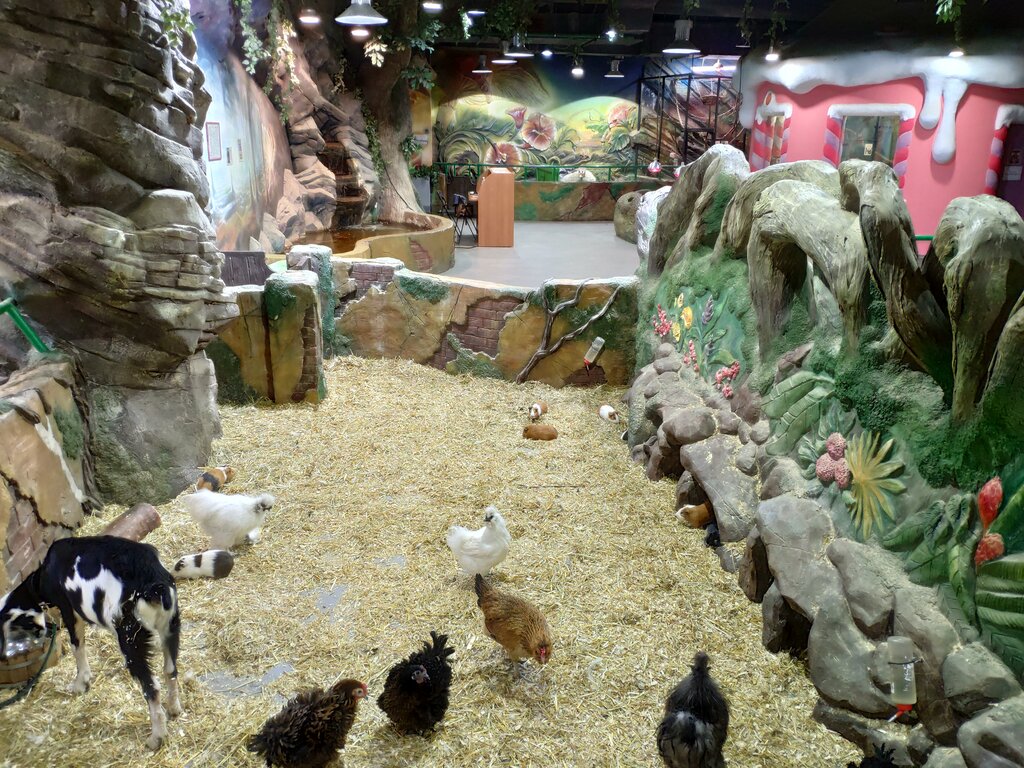 Зоопарк в магазине