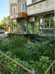 Tsvetoptorg (40 Let Pobedy Street, 6), entrega de flores y ramos