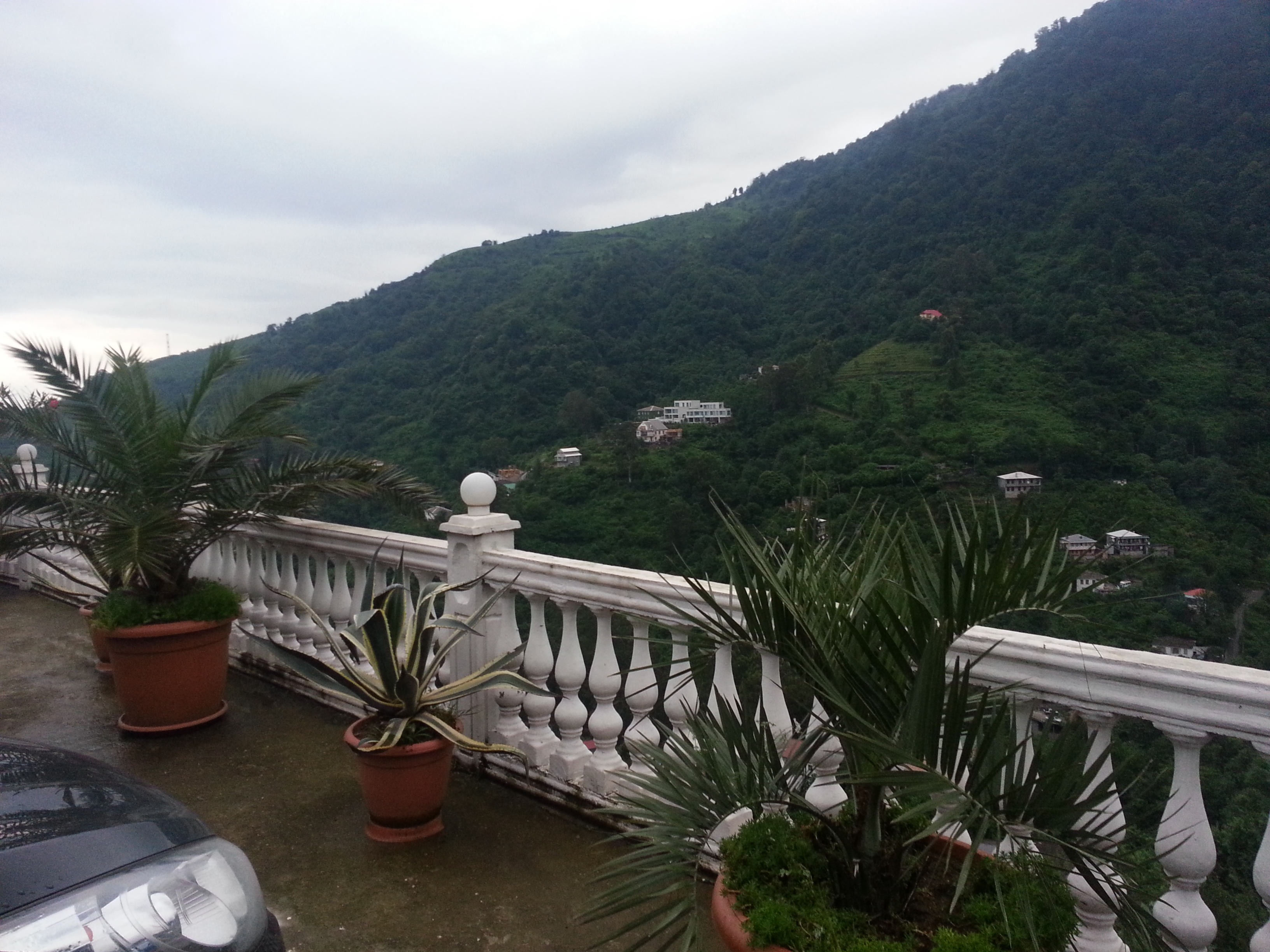 Фото Zura Palace