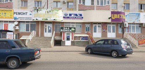 Дварис авто ставрополь