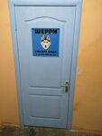 Шерри (Sovetskaya Street, 44) ، صالون حيوانات أليفة