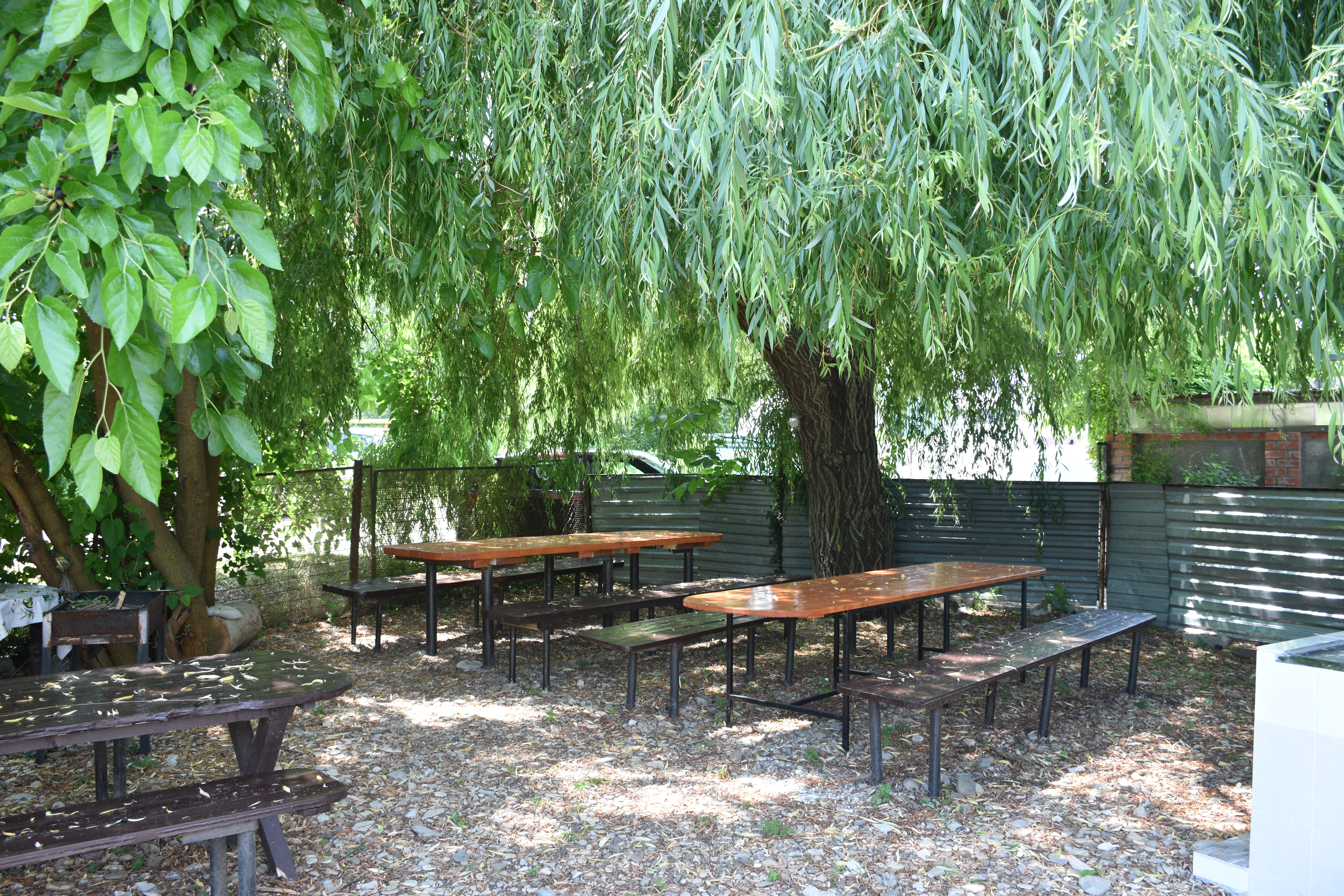 Фото Галина