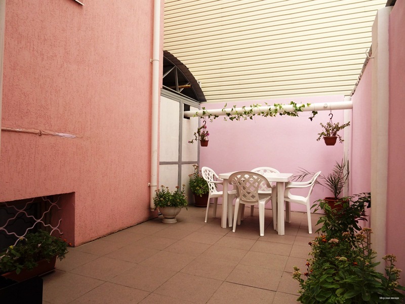 Фото Морская звезда