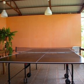 Фото Солнечная поляна