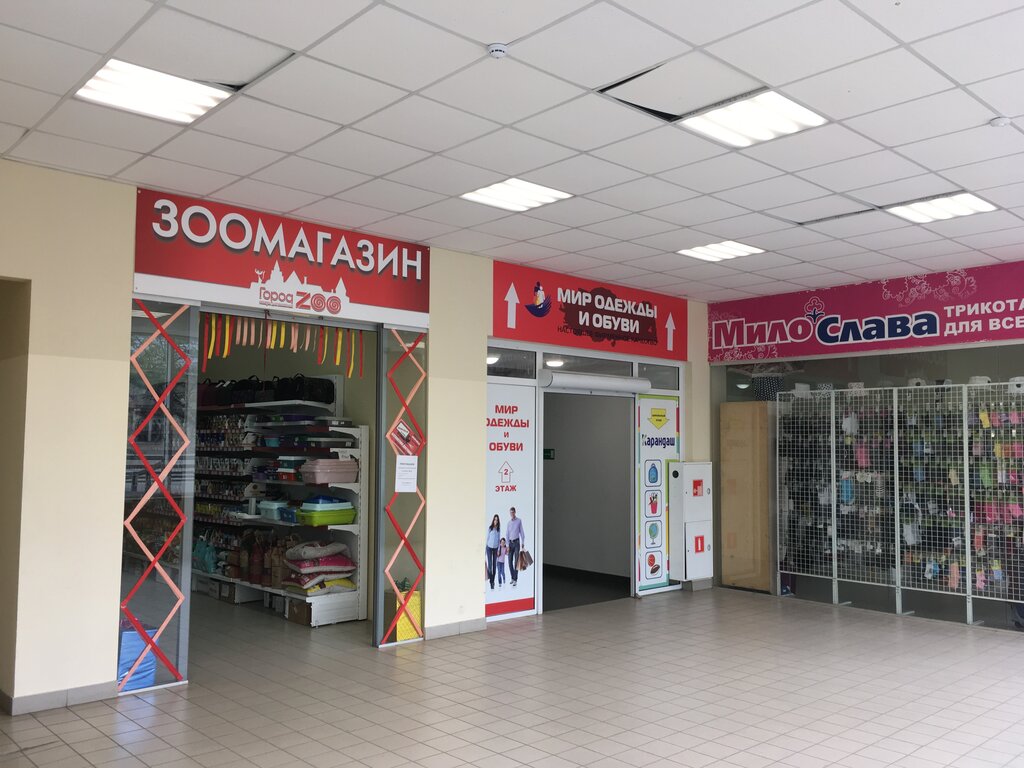 Зоо Интернет Магазин Томск