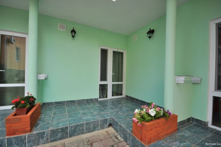 Фото Феникс