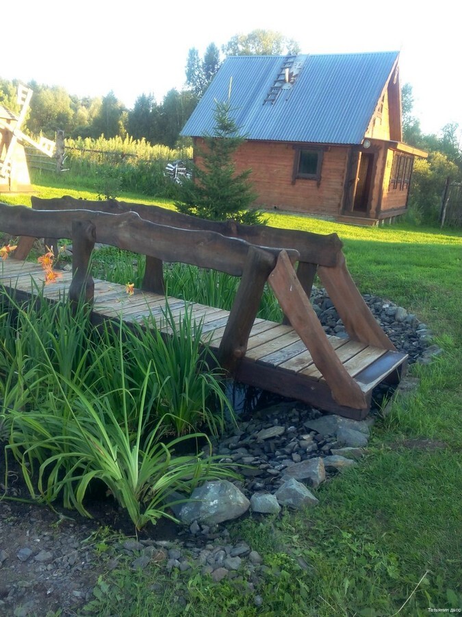 Фото Новые соседи