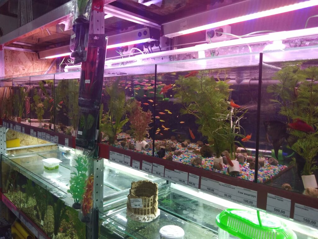 Pet shop Zverovski, Krasnogorsk, photo