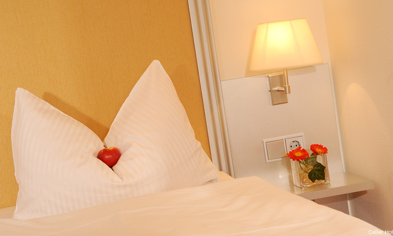 Фото Hotel Celler Hof