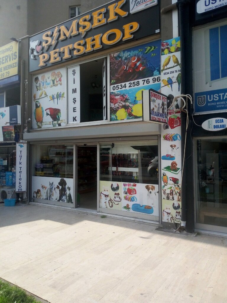 Petshop Şimşek Petshop, Esenyurt, foto