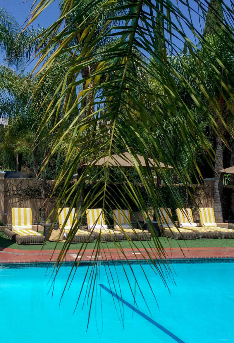 Фото The Hollywood Hotel