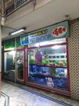 Utku Pet Shop (Стамбул, Эсеньюрт, бульвар Доган Араслы, 168), зоомагазин в Стамбуле