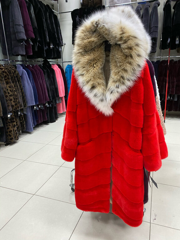 ������, �������� ���������� ������� ���� ���� ������ ������